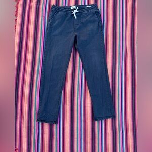 Marine Layer Navy Chinos